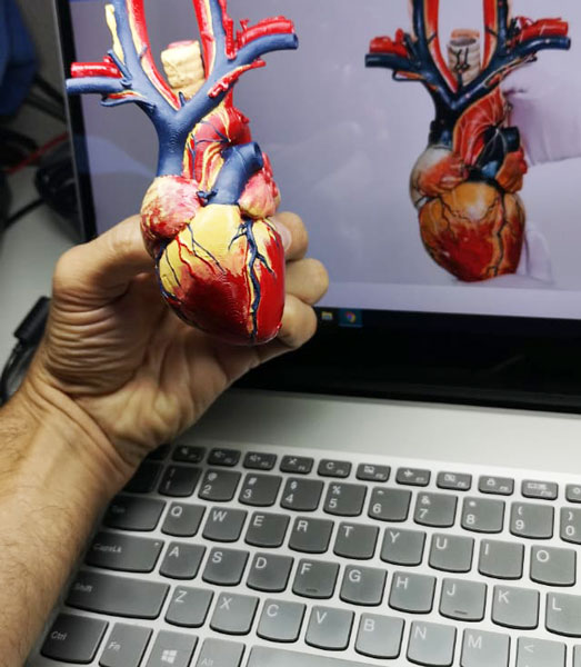 فایل سه بعدی قلب انسان R2