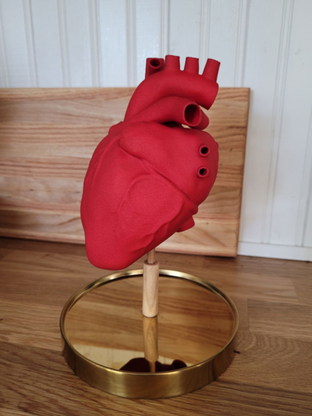 فایل سه بعدی قلب انسان R3