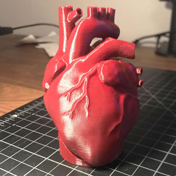 فایل سه بعدی قلب انسان R3
